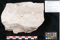 Foto (Objekt + Etikett) von Dictyopteris brongniarti Gutb. (NHMW-GEO-2024-0188-10777)